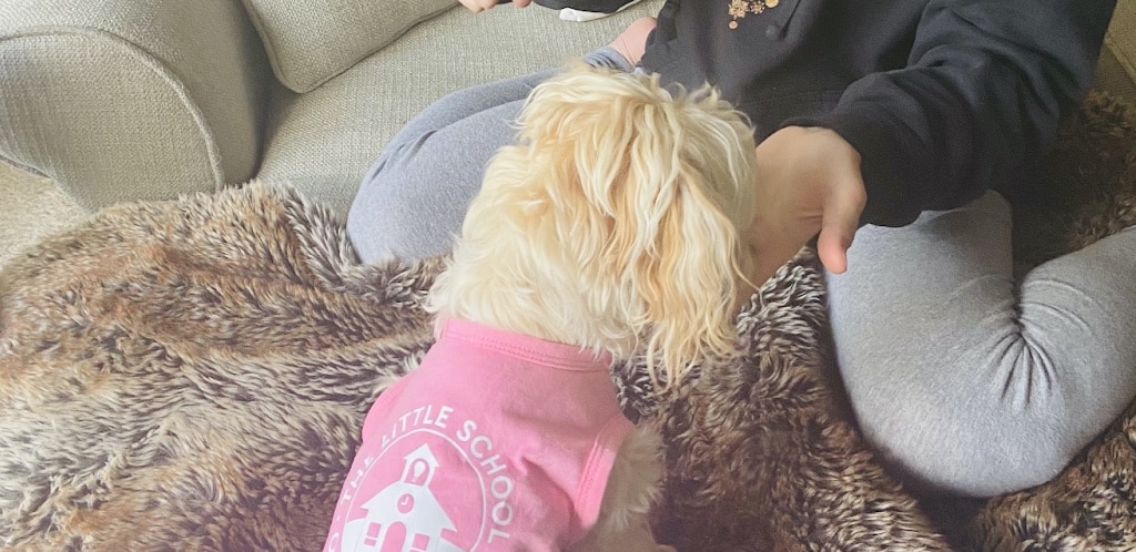 little girl feeding dog understanding