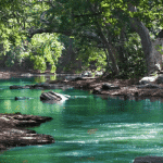 Photo of a turquoise river flowing through a wooded area