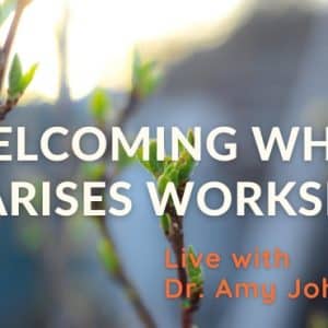 Banner for the workshop called Welcoming What Arises