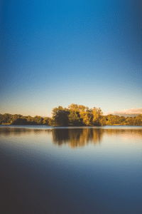 Image of a calm lake with trees at its bank and a deep blue sky above.